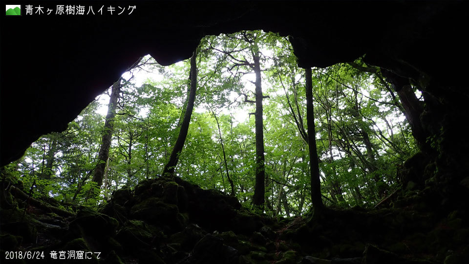 2018/6/24 竜宮洞窟にて