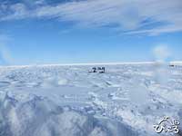 白い大地？！いえいえびっしりと接岸した流氷。雪が積もって氷の青さが見えないのです。