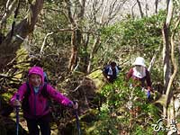 山頂近くは大きな岩がゴロゴロしていて、溶岩ドームで出来た山って実感出来ます。