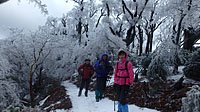 まるで雪国、伊豆の山とは思えません