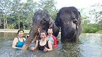 象と一緒に水浴び