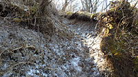 霜柱をザクザク踏みしめるのが楽しい登山道