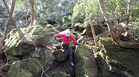 大きな岩を乗り越えて歩く登山道はアスレチック気分